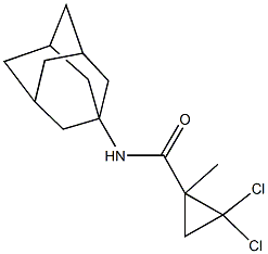 N-(1-adamantyl)-2,2-dichloro-1-methylcyclopropanecarboxamide Struktur