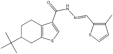 6-tert-butyl-N'-[(3-methyl-2-thienyl)methylene]-4,5,6,7-tetrahydro-1-benzothiophene-3-carbohydrazide Struktur