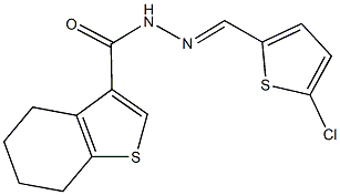 N'-[(5-chloro-2-thienyl)methylene]-4,5,6,7-tetrahydro-1-benzothiophene-3-carbohydrazide Struktur