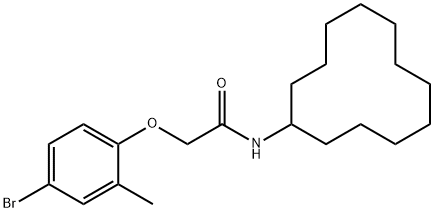 2-(4-bromo-2-methylphenoxy)-N-cyclododecylacetamide Struktur