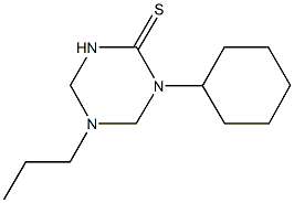 1-cyclohexyl-5-propyl-1,3,5-triazinane-2-thione Struktur