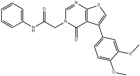 2-(5-(3,4-dimethoxyphenyl)-4-oxothieno[2,3-d]pyrimidin-3(4H)-yl)-N-phenylacetamide Struktur