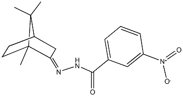 3-nitro-N'-(1,7,7-trimethylbicyclo[2.2.1]hept-2-ylidene)benzohydrazide Struktur