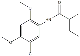 N-(5-chloro-2,4-dimethoxyphenyl)-2-methylbutanamide Struktur