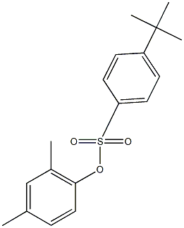 2,4-dimethylphenyl 4-tert-butylbenzenesulfonate Struktur