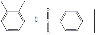 4-tert-butyl-N-(2,3-dimethylphenyl)benzenesulfonamide Struktur