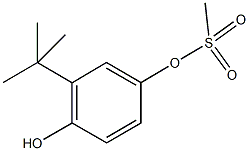 3-tert-butyl-4-hydroxyphenyl methanesulfonate Struktur