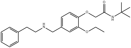 N-(tert-butyl)-2-(2-ethoxy-4-{[(2-phenylethyl)amino]methyl}phenoxy)acetamide Struktur