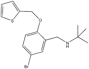 N-[5-bromo-2-(2-thienylmethoxy)benzyl]-2-methyl-2-propanamine Struktur