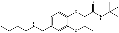 N-(tert-butyl)-2-{4-[(butylamino)methyl]-2-ethoxyphenoxy}acetamide Struktur