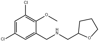 N-(3,5-dichloro-2-methoxybenzyl)-N-(tetrahydro-2-furanylmethyl)amine Struktur