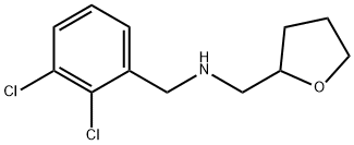 N-(2,3-dichlorobenzyl)-N-(tetrahydro-2-furanylmethyl)amine Struktur