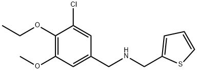 N-(3-chloro-4-ethoxy-5-methoxybenzyl)-N-(2-thienylmethyl)amine Struktur