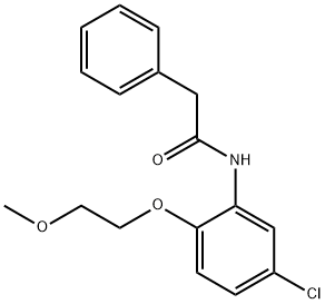 N-[5-chloro-2-(2-methoxyethoxy)phenyl]-2-phenylacetamide Struktur