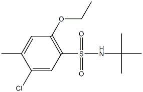 N-(tert-butyl)-5-chloro-2-ethoxy-4-methylbenzenesulfonamide Struktur