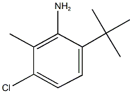 6-tert-butyl-3-chloro-2-methylphenylamine Struktur