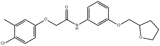 2-(4-chloro-3-methylphenoxy)-N-[3-(tetrahydro-2-furanylmethoxy)phenyl]acetamide Struktur