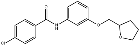 4-chloro-N-[3-(tetrahydro-2-furanylmethoxy)phenyl]benzamide Struktur