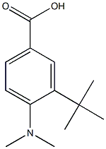 3-tert-butyl-4-(dimethylamino)benzoic acid Struktur