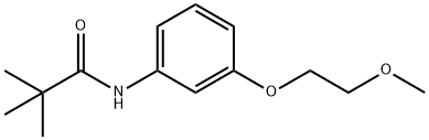 N-[3-(2-methoxyethoxy)phenyl]-2,2-dimethylpropanamide Struktur