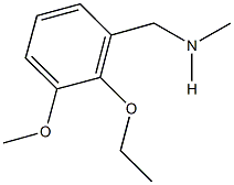 N-(2-ethoxy-3-methoxybenzyl)-N-methylamine Struktur