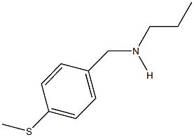 N-[4-(methylsulfanyl)benzyl]-N-propylamine Struktur