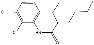 N-(2,3-dichlorophenyl)-2-ethylhexanamide Struktur