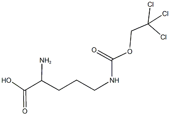 N~5~-[(2,2,2-trichloroethoxy)carbonyl]ornithine Struktur