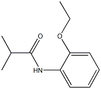 N-(2-ethoxyphenyl)-2-methylpropanamide Struktur