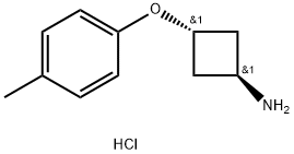 CyclobutanaMine, 3-(4-Methylphenoxy)-, hydrochloride (1:1), trans- Struktur