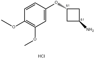 CyclobutanaMine, 3-(3,4-diMethoxyphenoxy)-, hydrochloride (1:1), trans- Struktur