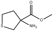 3-Thiophenecarboxylicacid,3-aminotetrahydro-,methylester(9CI) Struktur