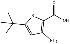 2-Thiophenecarboxylicacid,3-amino-5-(1,1-dimethylethyl)-(9CI) Struktur