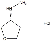 (r)-(tetrahydrofuran-3-yl)hydrazine hcl Struktur