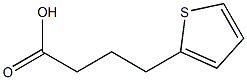 4-(thiophen-2-yl)butanoic acid Struktur