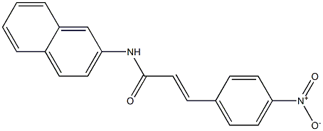 (E)-N-naphthalen-2-yl-3-(4-nitrophenyl)prop-2-enamide Struktur