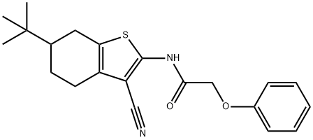 N-(6-tert-butyl-3-cyano-4,5,6,7-tetrahydro-1-benzothiophen-2-yl)-2-phenoxyacetamide Struktur