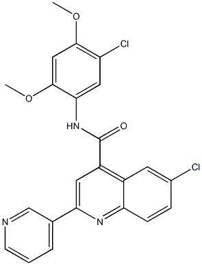 6-chloro-N-(5-chloro-2,4-dimethoxyphenyl)-2-pyridin-3-ylquinoline-4-carboxamide Struktur