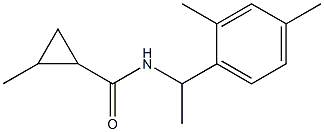 N-[1-(2,4-dimethylphenyl)ethyl]-2-methylcyclopropane-1-carboxamide Struktur