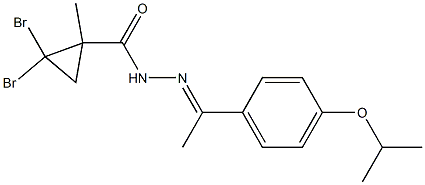 2,2-dibromo-1-methyl-N-[(E)-1-(4-propan-2-yloxyphenyl)ethylideneamino]cyclopropane-1-carboxamide Struktur