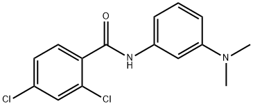 2,4-dichloro-N-[3-(dimethylamino)phenyl]benzamide Struktur