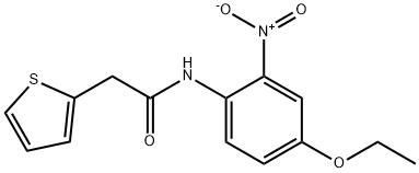 N-(4-ethoxy-2-nitrophenyl)-2-thiophen-2-ylacetamide Struktur