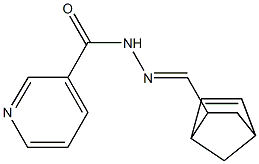 N-[(E)-5-bicyclo[2.2.1]hept-2-enylmethylideneamino]pyridine-3-carboxamide Struktur