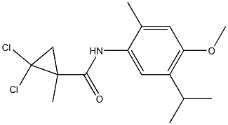 2,2-dichloro-N-(4-methoxy-2-methyl-5-propan-2-ylphenyl)-1-methylcyclopropane-1-carboxamide Struktur