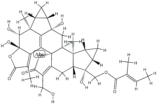 ChloraMultilide D Struktur