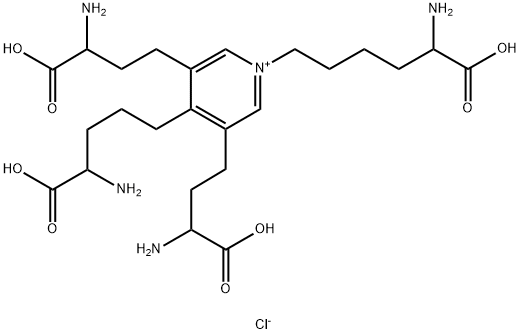 DESMOSINE STANDARD Struktur