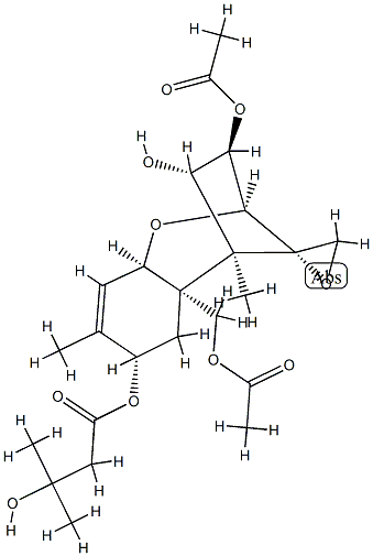 iso TC 1 Struktur