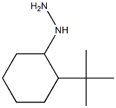 1-(2-tert-butylcyclohexyl)hydrazine Struktur