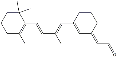 retinal 6.11 Struktur