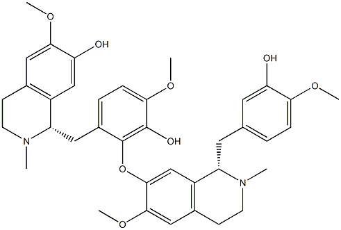 EFATINE Struktur